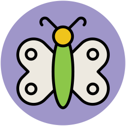 Butterfly  Icon