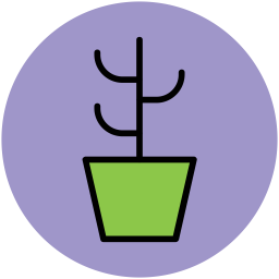 Cactus  Icon