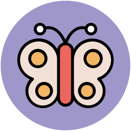 Butterfly  Icon