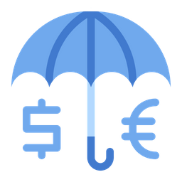 Currency Protection  Icon