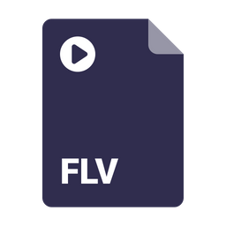 Flv File  Icon