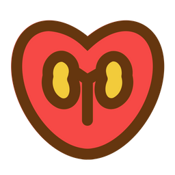 Love Kidney  Icon