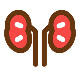 Kidney  Icon