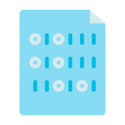 Binary File  Icon