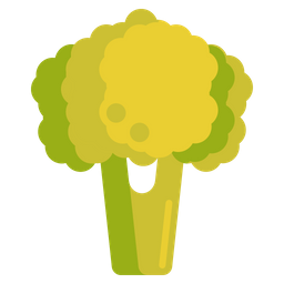 Broccoli  Icon