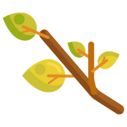 Branch  Icon