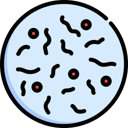 Bacteria  Icon