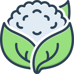 Cauliflower  Icon