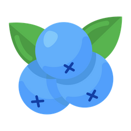 Blueberries  Icon