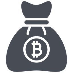 Bitcoin Bag  Icon