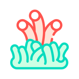 Coral  Icon