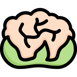 Cauliflower  Icon