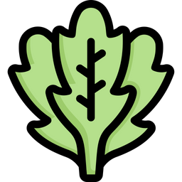 Arugula  Icon