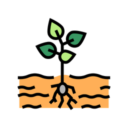 Growing Process  Icon