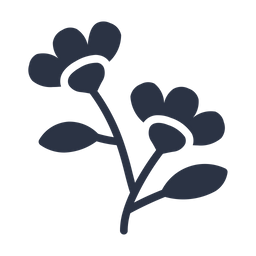 Flower  Icon