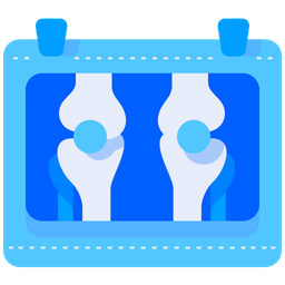 Bone Xray  Icon