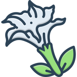 Datura Stramonium  Icon