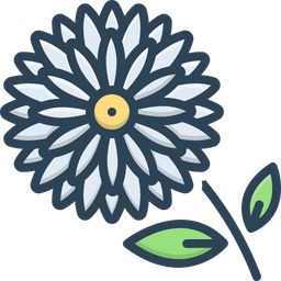 Chrysanthemum  Icon