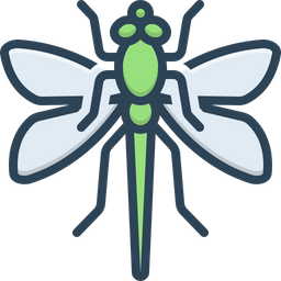 Dragonfly  Icon