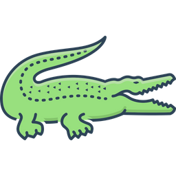 Crocodile  Icon