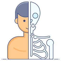 Anatomy  Icon