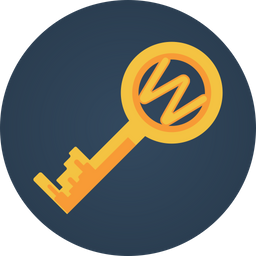 Web Key  Icon