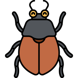 Beetle  Icon