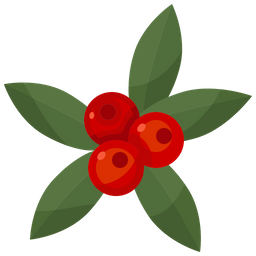 Berries  Icon