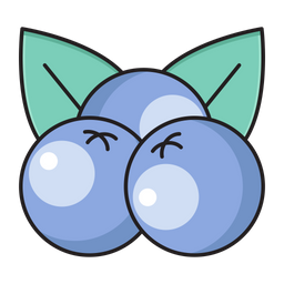 Blueberry  Icon