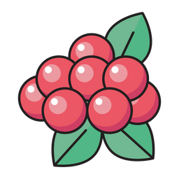 Berries  Icon