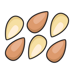 Almond  Icon