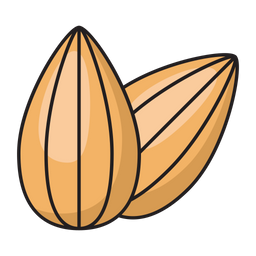 Almond  Icon