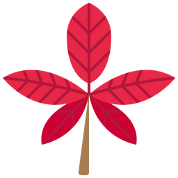 Leaf  Icon