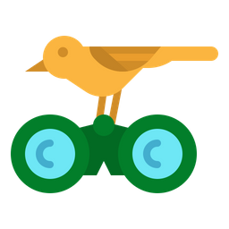 Bird Watching  Icon