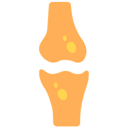 뼈 관절  아이콘