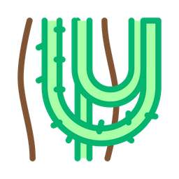 Liana Plant  Icon