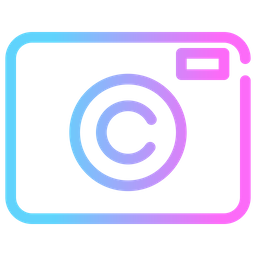 Camera  Icon