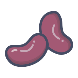 Kidney  Icon