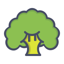 Broccoli  Icon