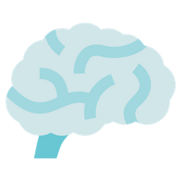 Brain  Icon