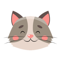 Cat  Icon