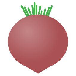 Beet  Icon