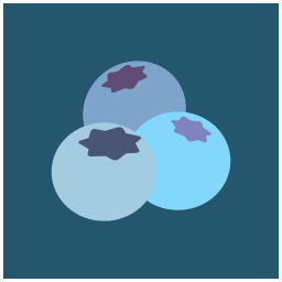 Blueberry  Icon