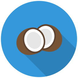 Coconut  Icon