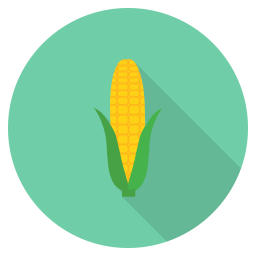 Corn  Icon