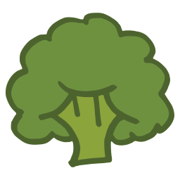 Broccoli  Icon