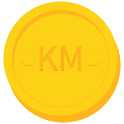 Coin  Icon