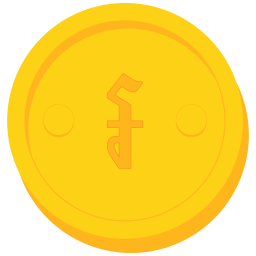 Coin  Icon