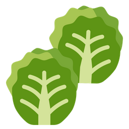 Brussel Sprouts  Icon