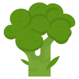 Broccoli  Icon